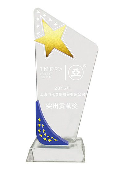 上海亚明2015年度突出贡献奖