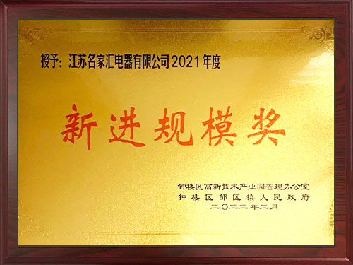 2021年度新进规模奖