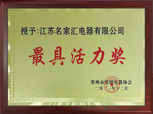 最具活力奖